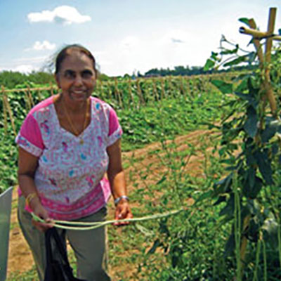 Growers offer immigrants familiar vegetables